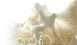 banner-homepage-img-2